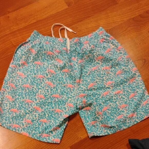 Chubbies Blue and Pink Athletic Shorts - Picture 4 of 7